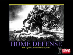 King Kong Home Defense