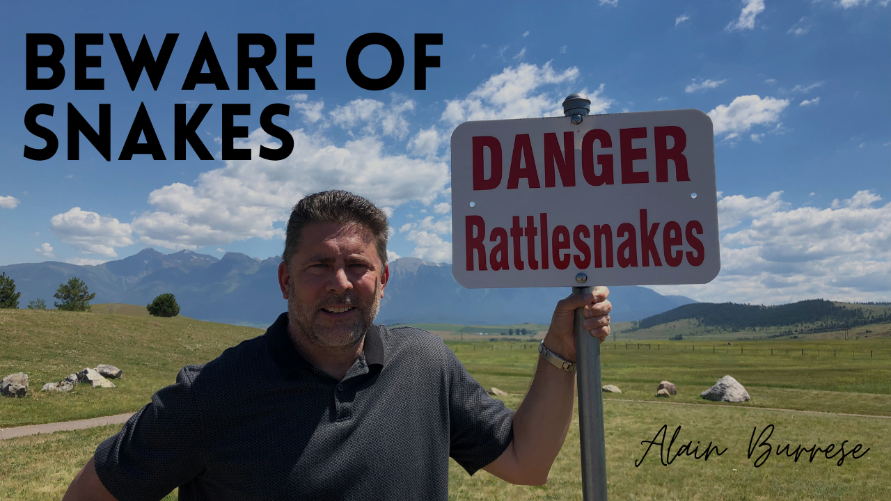 Beware of Snakes